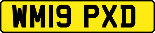 WM19PXD