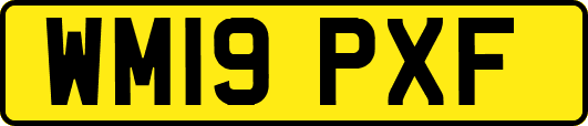WM19PXF