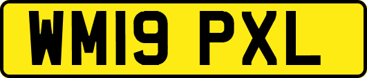 WM19PXL
