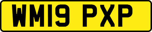 WM19PXP