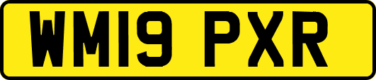 WM19PXR