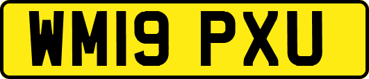 WM19PXU