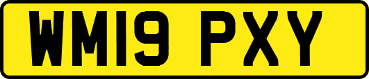 WM19PXY