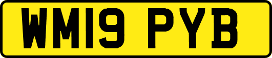 WM19PYB