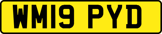 WM19PYD