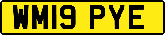 WM19PYE