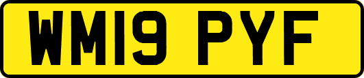 WM19PYF