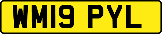 WM19PYL