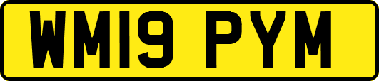 WM19PYM
