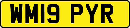 WM19PYR