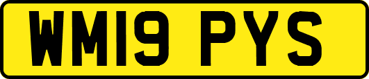 WM19PYS
