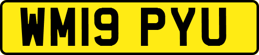 WM19PYU