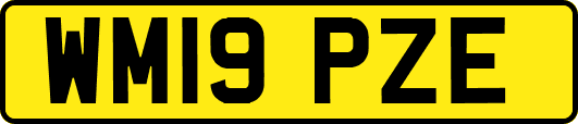 WM19PZE