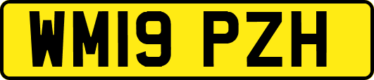 WM19PZH