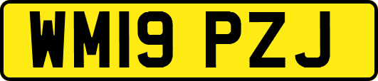 WM19PZJ