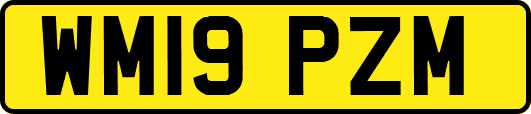 WM19PZM