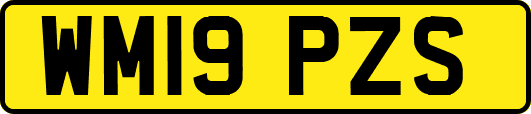 WM19PZS