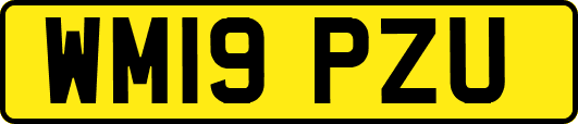 WM19PZU