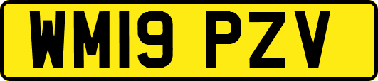 WM19PZV
