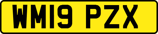 WM19PZX