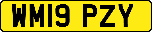 WM19PZY