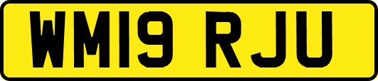 WM19RJU