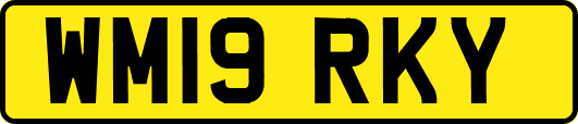 WM19RKY