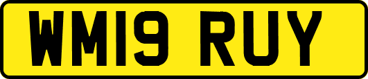 WM19RUY
