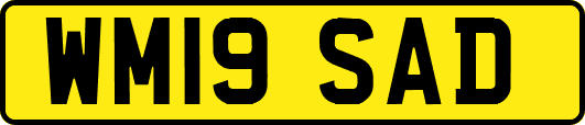 WM19SAD