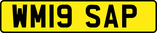 WM19SAP