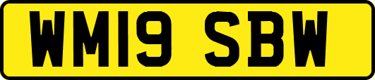 WM19SBW