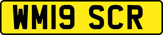 WM19SCR