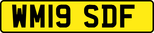 WM19SDF