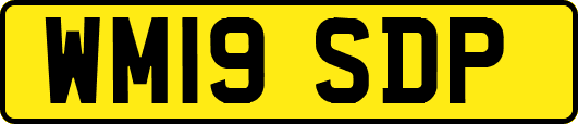WM19SDP