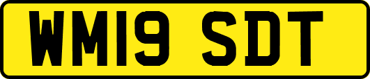 WM19SDT
