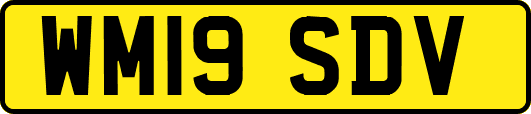 WM19SDV