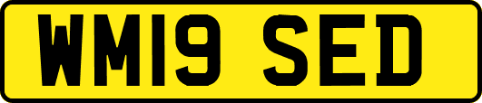 WM19SED