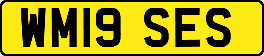WM19SES