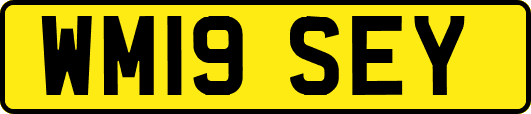 WM19SEY