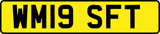 WM19SFT