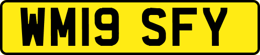 WM19SFY