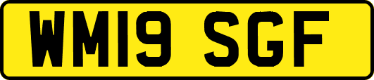 WM19SGF