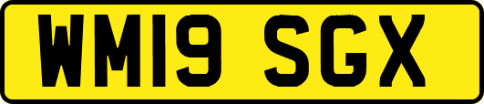 WM19SGX