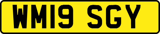 WM19SGY