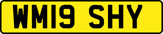 WM19SHY