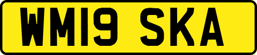 WM19SKA