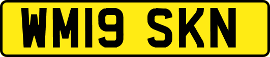 WM19SKN