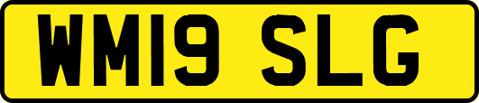 WM19SLG