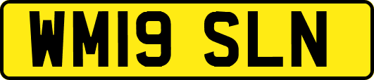 WM19SLN
