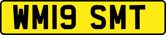 WM19SMT